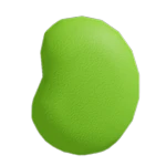 Bean