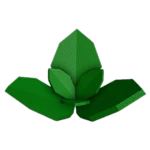 Herb
